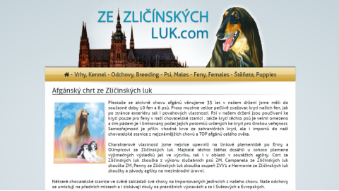 Spuštění webové stránky